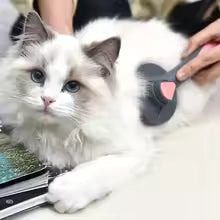 Self-Cleaning Pet Grooming Brush for Cats & Dogs